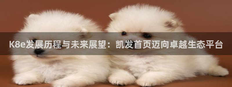 尊龙时凯登录界面入口：K8e发展历程与未来展望：凯发首页迈向卓越生态平台