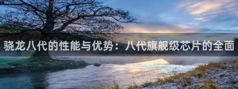尊龙时凯平台开户链接：骁龙八代的性能与优势：八代旗舰级芯片的全面
