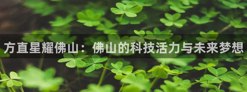 成都尊龙时凯电子有限公司：方直星耀佛山：佛山的科技活力与未来梦想