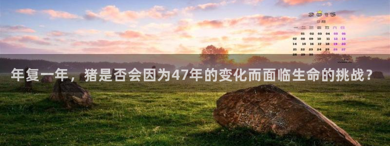 尊龙时凯平台开户链接：年复一年，猪是否会因为47年的变化而面临生命的挑战？