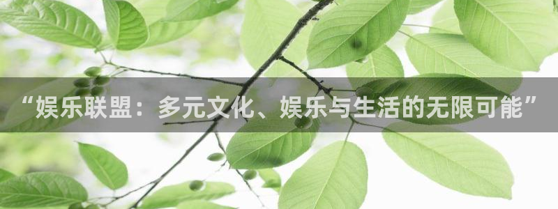 尊龙时凯平台在线注册：“娱乐联盟：多元文化、娱乐与生活的无限可能”