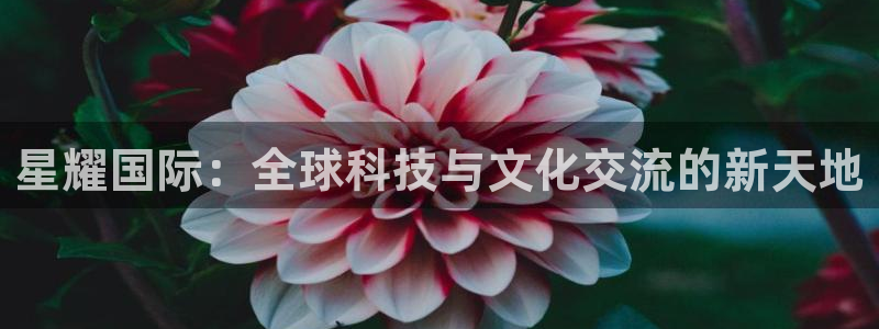 尊龙时凯体育代理：星耀国际：全球科技与文化交流的新天地