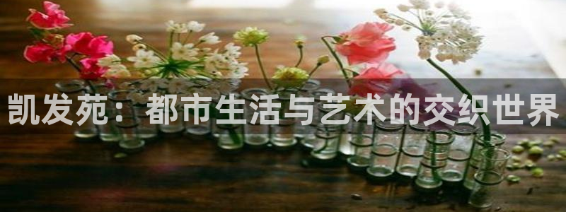 尊龙时凯3登陆：凯发苑：都市生活与艺术的交织世界