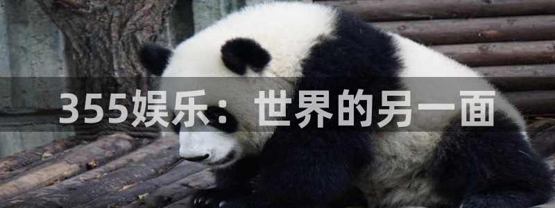 www.尊龙时凯体育.com：355娱乐：世界的另一面