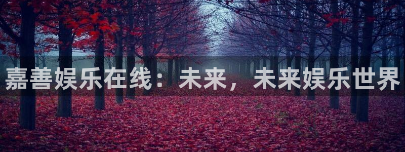 尊龙时凯主管：嘉善娱乐在线：未来，未来娱乐世界