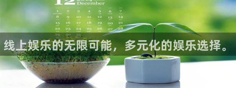 尊龙时凯体育老板是谁：线上娱乐的无限可能，多元化的娱乐选择。