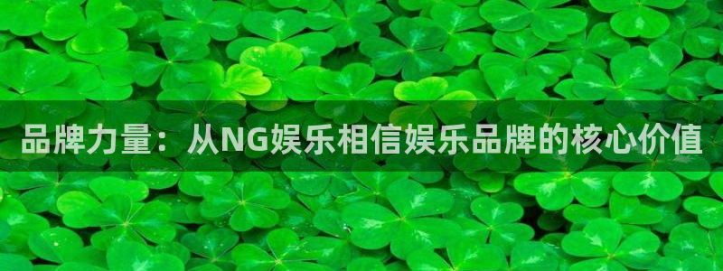 德国尊龙时凯集团：品牌力量：从NG娱乐相信娱乐品牌的核心价值