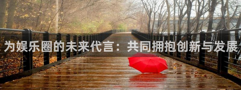 尊龙时凯体育代理：为娱乐圈的未来代言：共同拥抱创新与发展