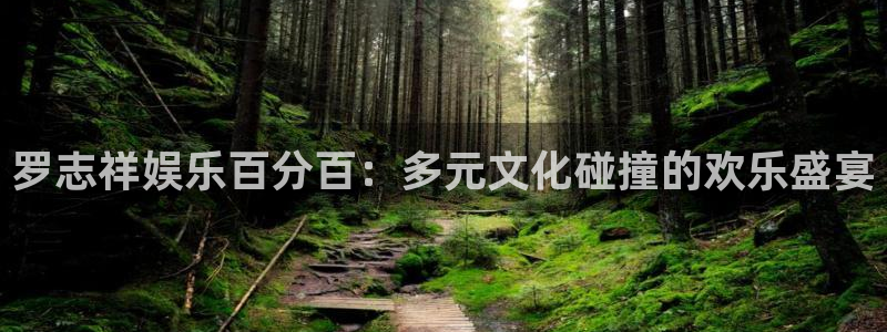 尊龙时凯体育凯捷平台注册：罗志祥娱乐百分百：多元文化碰撞的欢乐盛宴