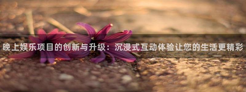 尊龙时凯体育1招商：晚上娱乐项目的创新与升级：沉浸式互动体验让您的生活更精彩