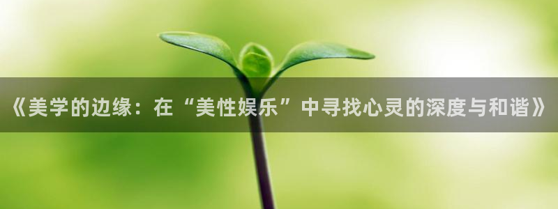 尊龙时凯2体育：《美学的边缘：在“美性娱乐”中寻找心灵的深度与和谐》