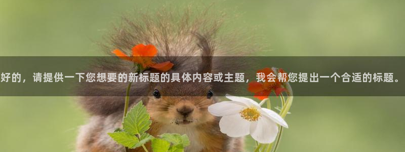 尊龙时凯登录：好的，请提供一下您想要的新标题的具体内容或主题，我会帮您提出一个合