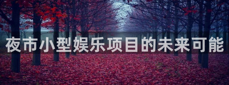 尊龙时凯凯捷开号链接：夜市小型娱乐项目的未来可能
