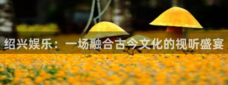 尊龙时凯2平台注册：绍兴娱乐：一场融合古今文化的视听盛宴